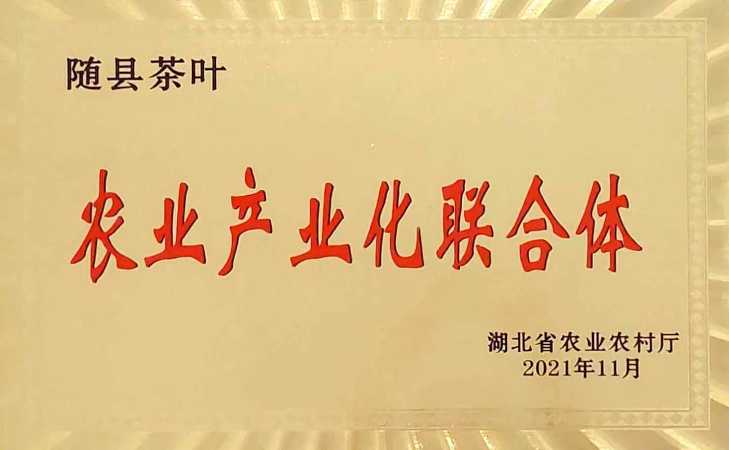 農業產業化聯合體.jpg 農業產業化聯合體.jpg