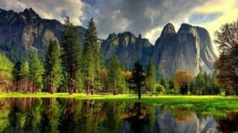 繁星流動(dòng)——捕捉每個(gè)閃耀瞬間的專(zhuān)業(yè)攝像服務(wù)